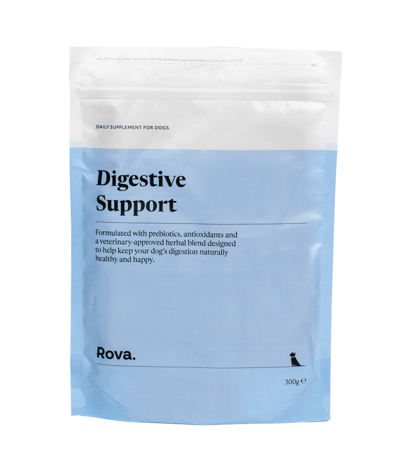 Digestive Support