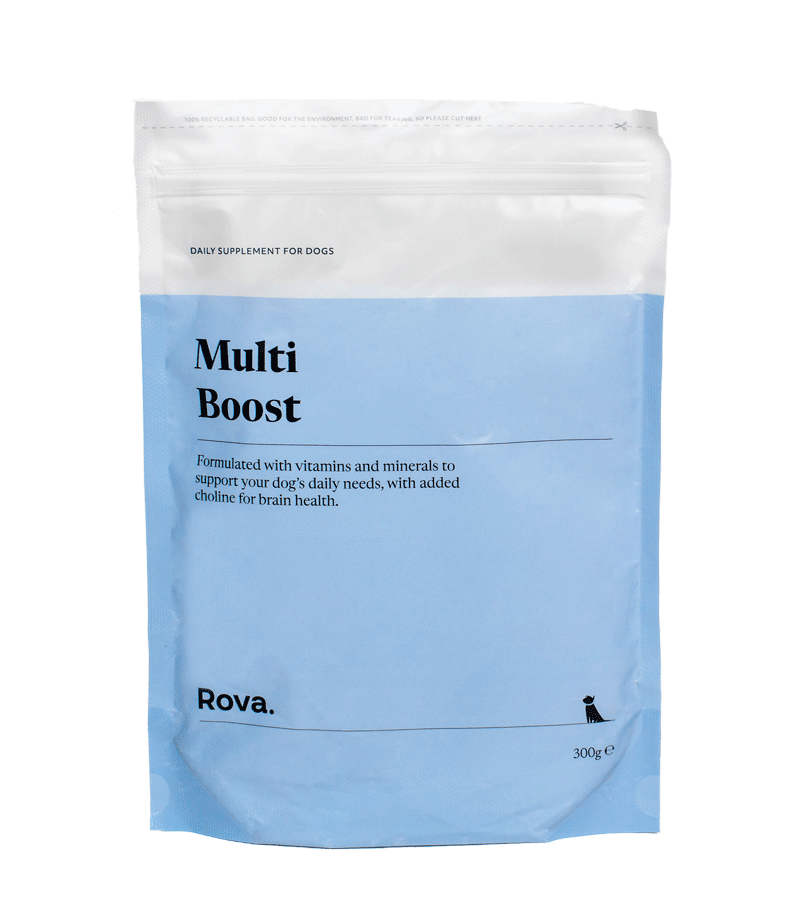 Multi Vitamin Boost