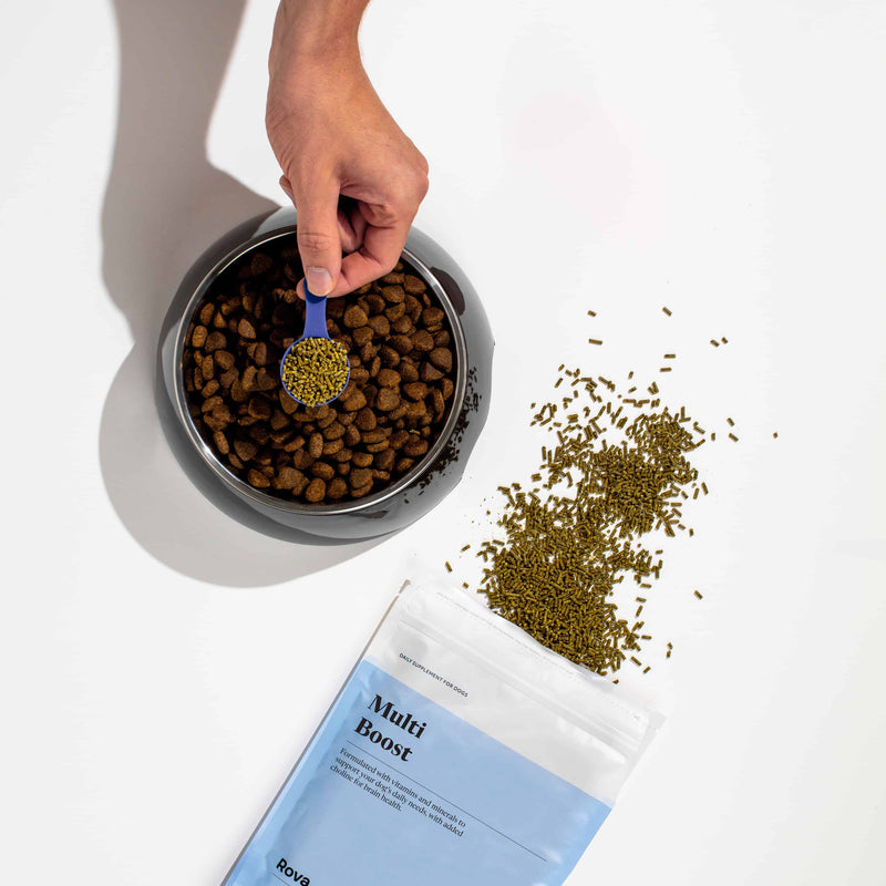 Multi Vitamin Boost